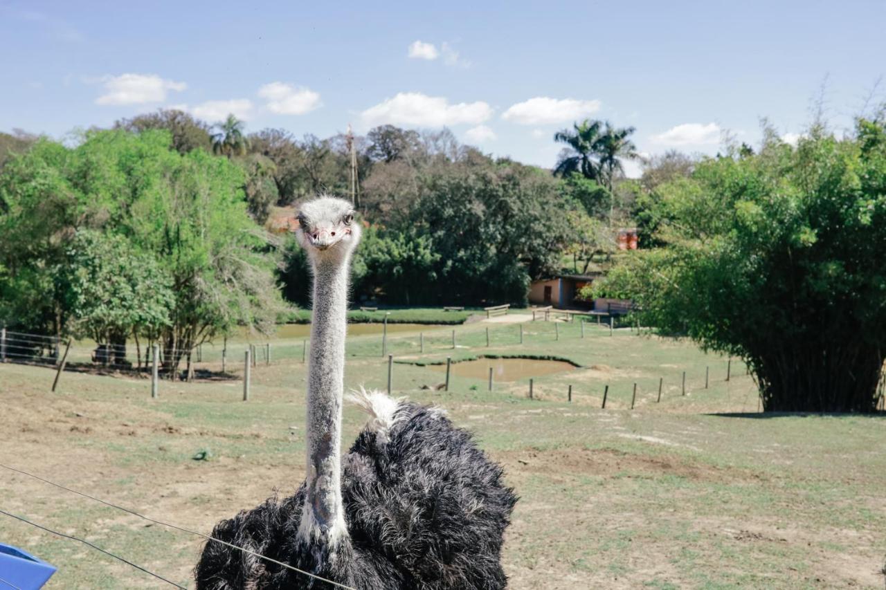 Hotel Fazenda Ararita Pôrto Feliz Eksteriør bilde