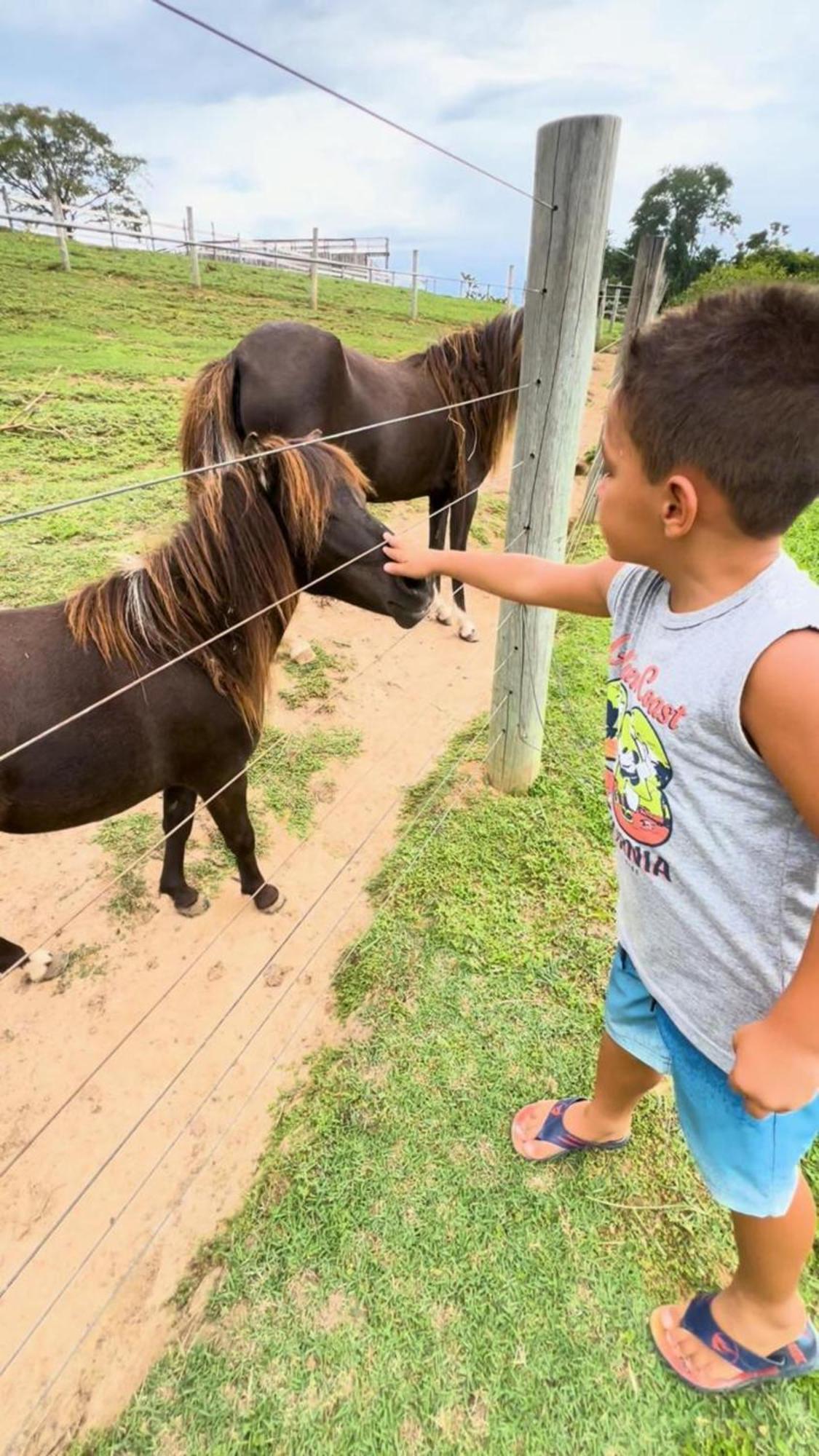 Hotel Fazenda Ararita Pôrto Feliz Eksteriør bilde